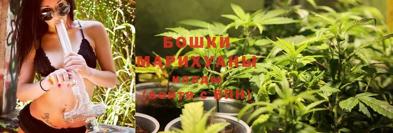 Марихуана OG Kush  Наволоки 